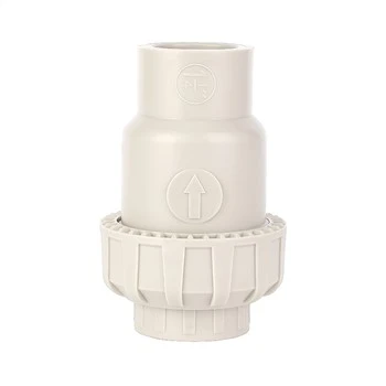 PPH Single Union Swing Check Valve
